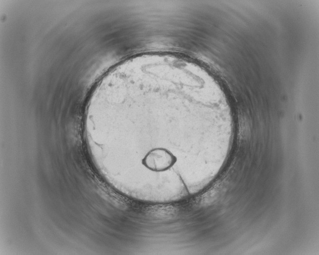 X0000070211314200606161631