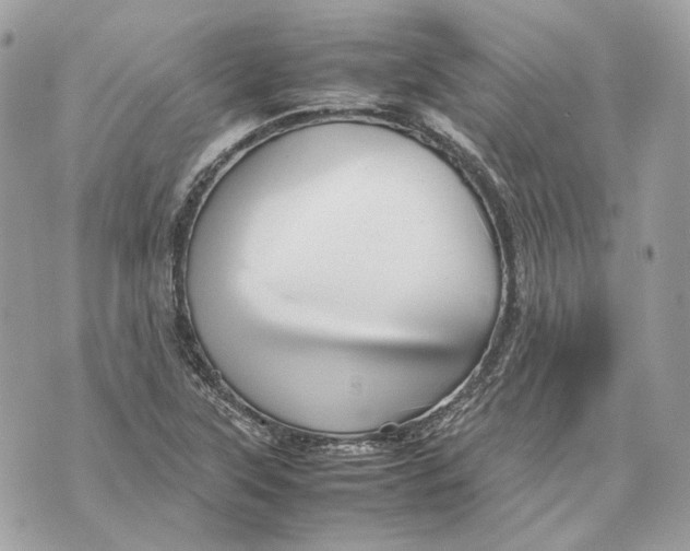 X0000070211315200606161631