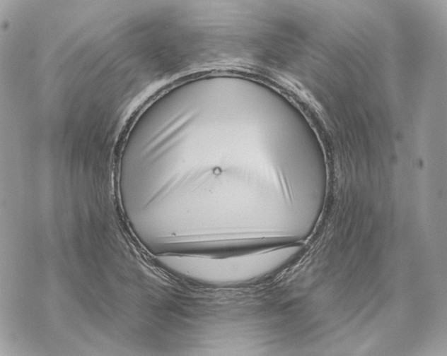 X0000070211316200606161631