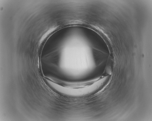 X0000070211317200606161631