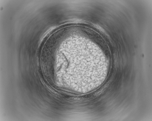 X0000070211318200606161631