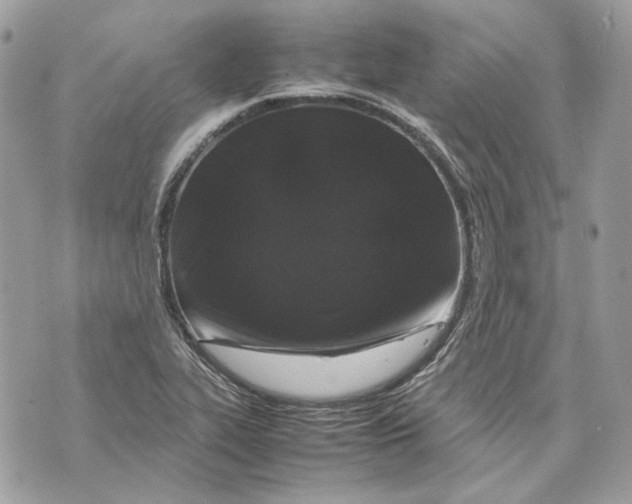 X0000070211319200606161631