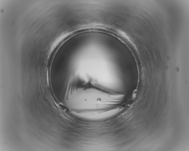 X0000070211320200606161631