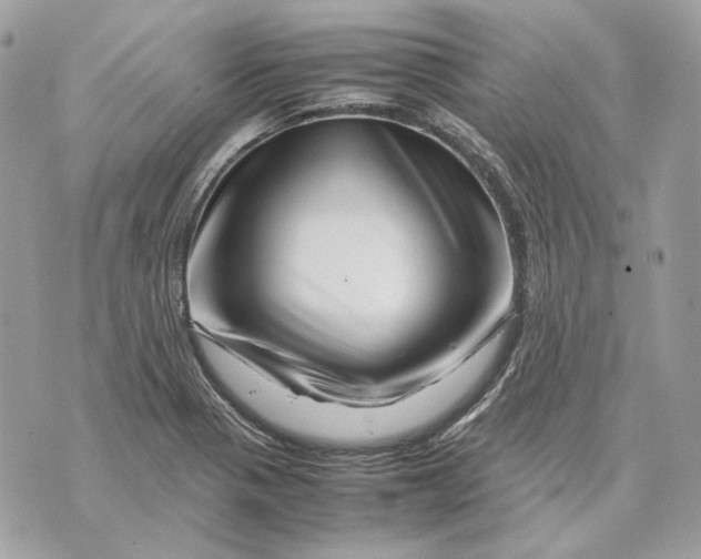 X0000070211321200606161631