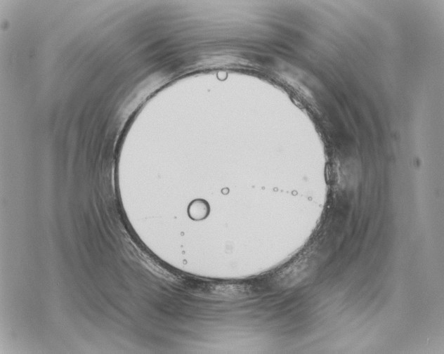 X0000070211322200606161632