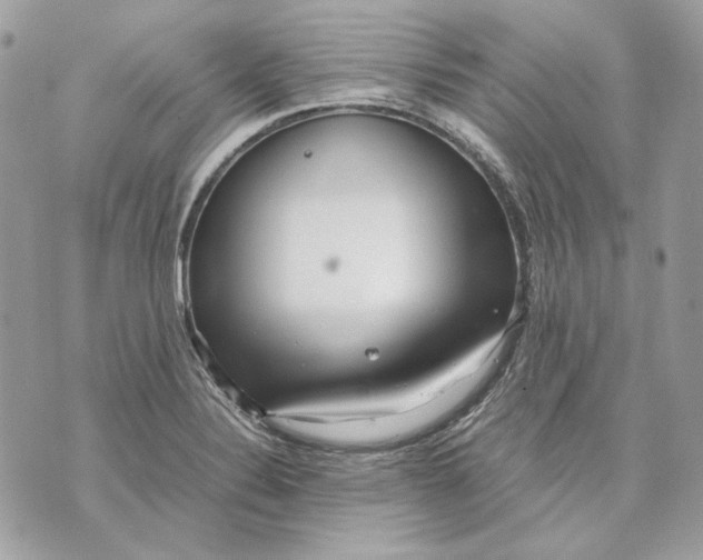 X0000070211324200606161632