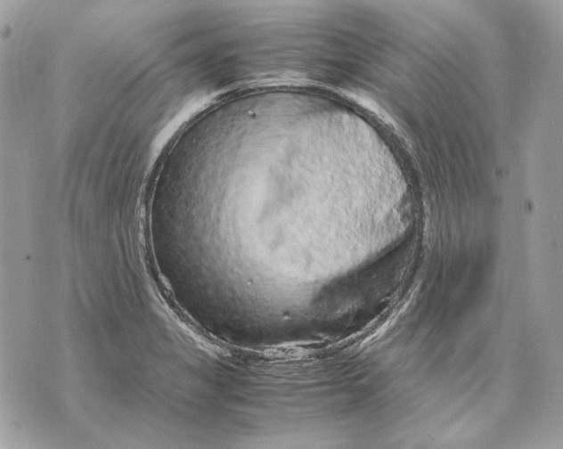 X0000070211325200606161632