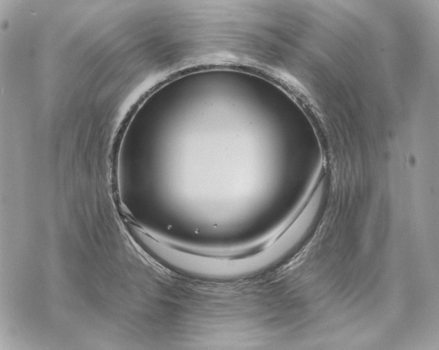 X0000070211326200606161632