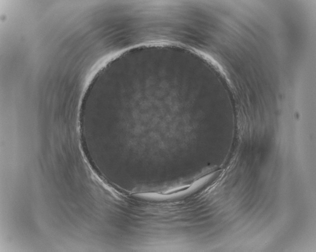 X0000070211327200606161632