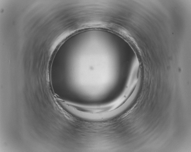 X0000070211328200606161632