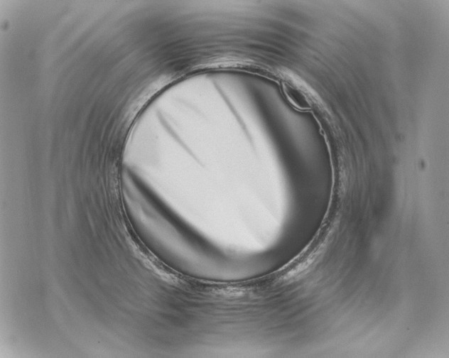 X0000070211329200606161632