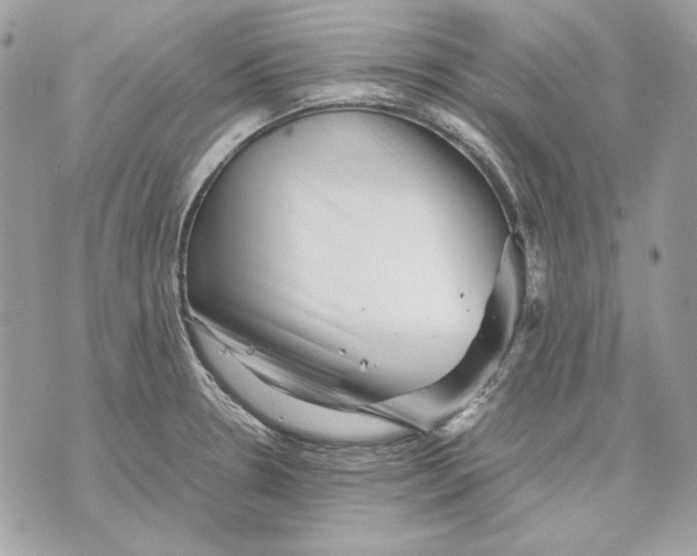 X0000070211330200606161632