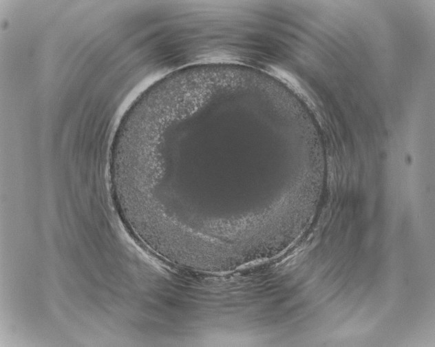 X0000070211331200606161632