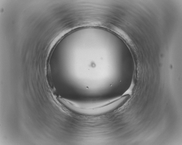 X0000070211332200606161632