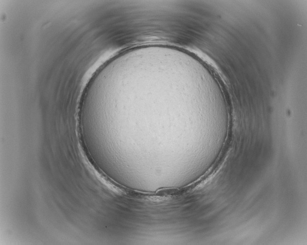 X0000070211333200606161632