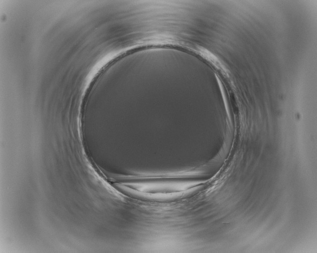 X0000070211334200606161632