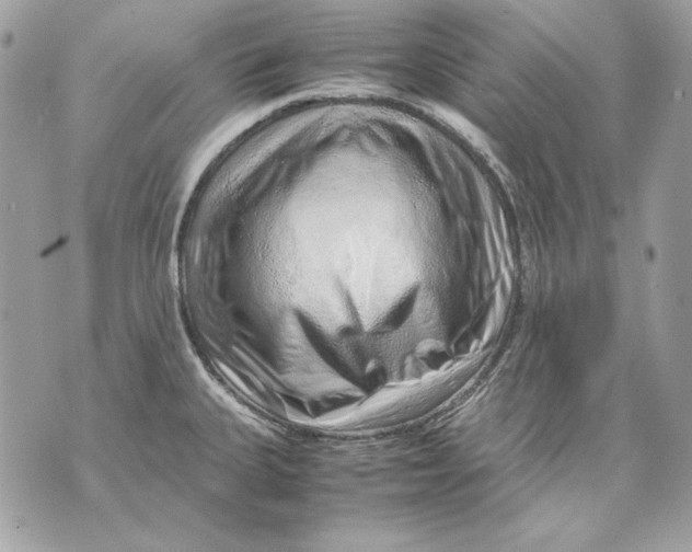 X0000070211335200606161632