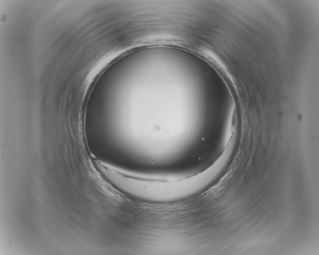 X0000070211336200606161632