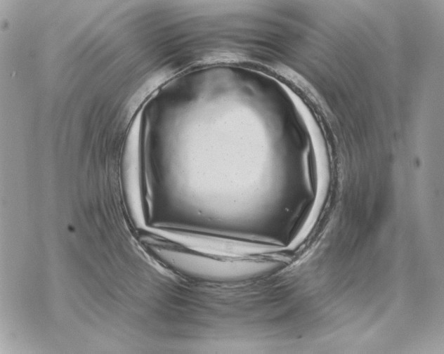 X0000070211337200606161632