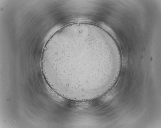 X0000070211338200606161632