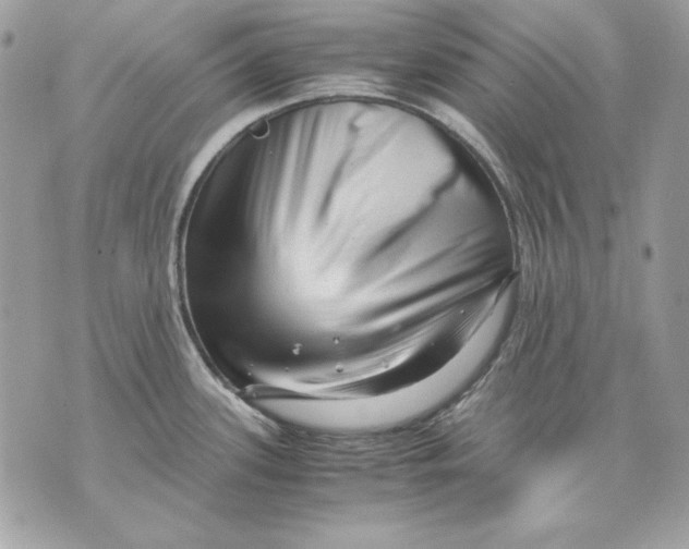 X0000070211339200606161632