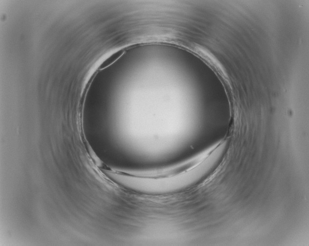 X0000070211340200606161632