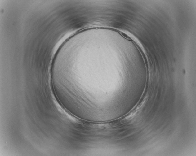 X0000070211341200606161632