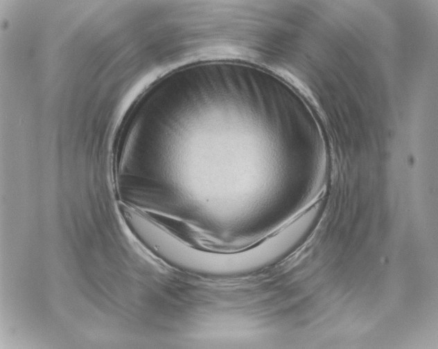 X0000070211342200606161632