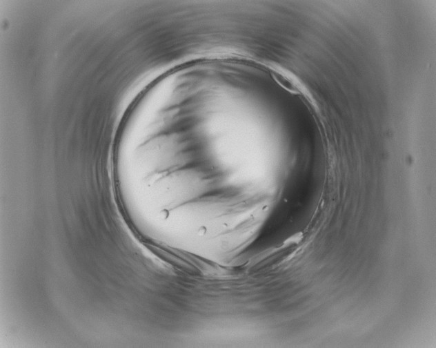 X0000070211343200606161632