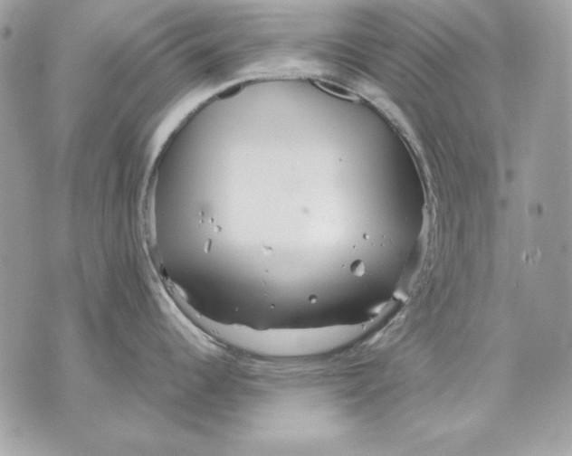 X0000070211344200606161632