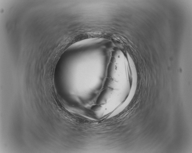 X0000070211345200606161631