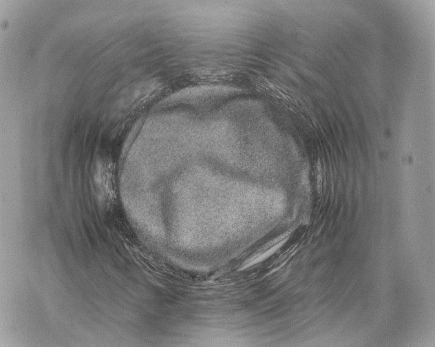 X0000070211346200606161631