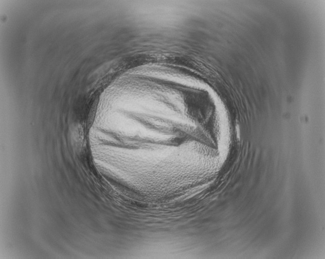 X0000070211347200606161631