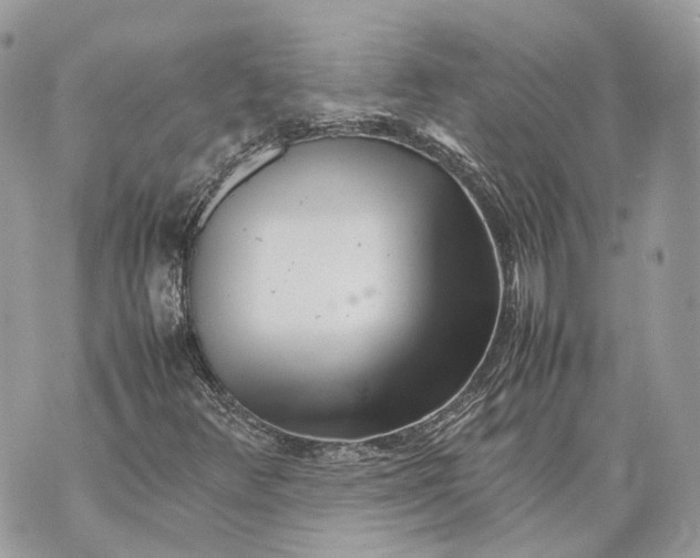 X0000070211348200606161631