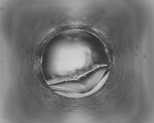 X0000070211349200606161631