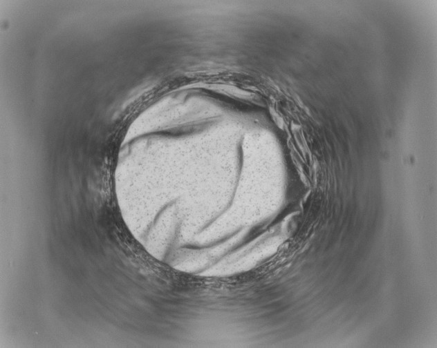 X0000070211350200606161631