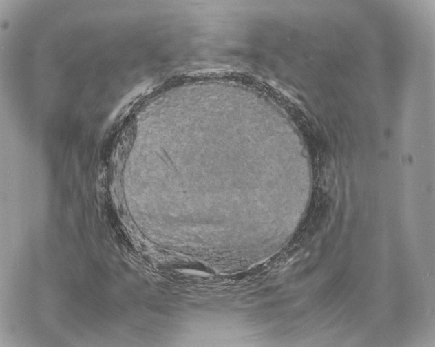 X0000070211351200606161631