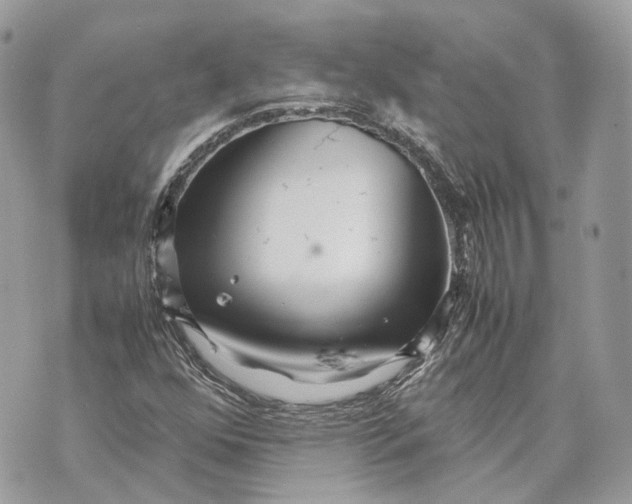 X0000070211352200606161631