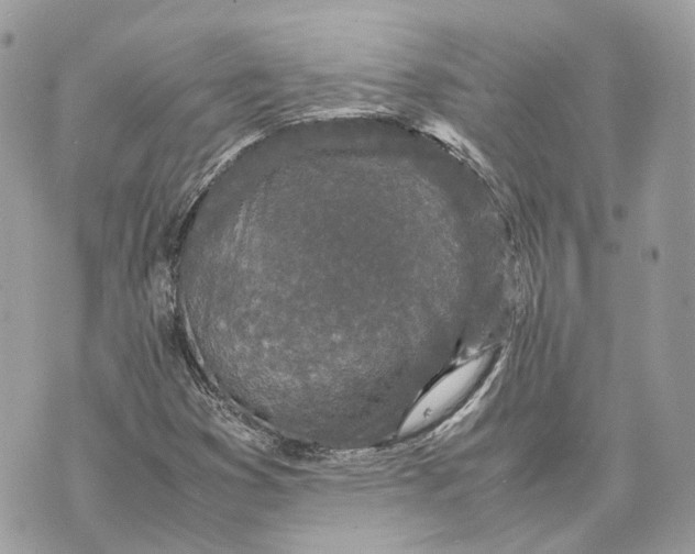 X0000070211353200606161631