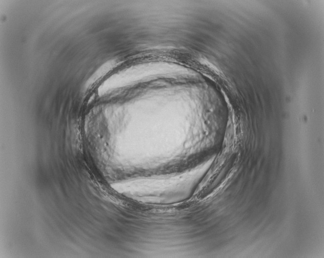 X0000070211354200606161631