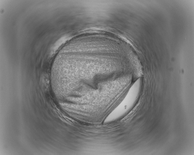 X0000070211355200606161631