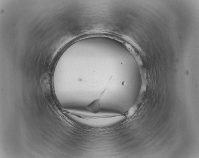 X0000070211356200606161631