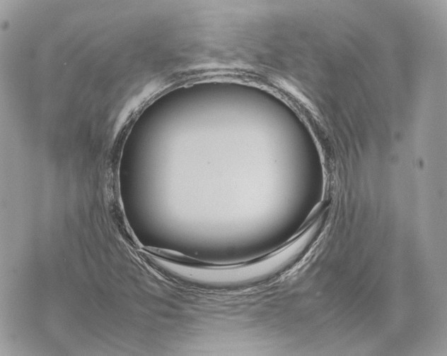 X0000070211357200606161631