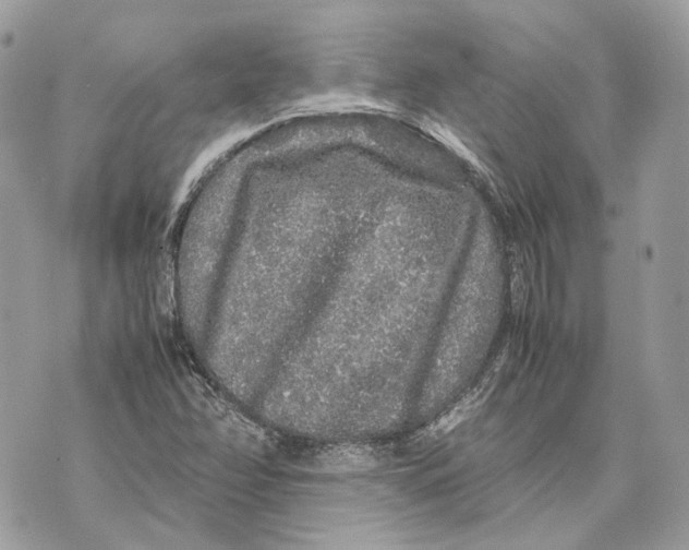 X0000070211358200606161631