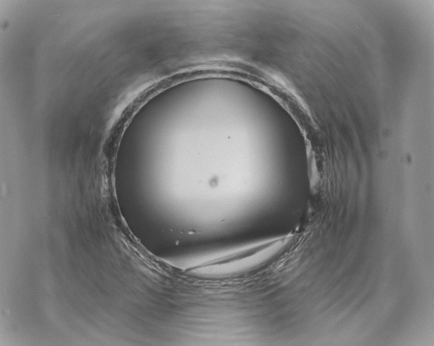 X0000070211360200606161631