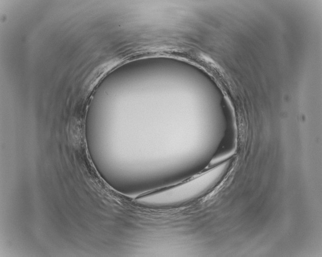 X0000070211361200606161631