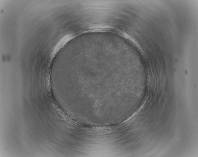 X0000070211362200606161631