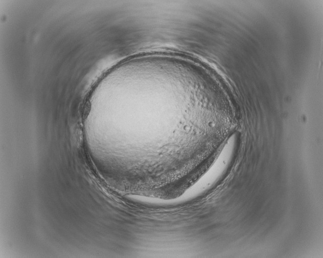 X0000070211363200606161631