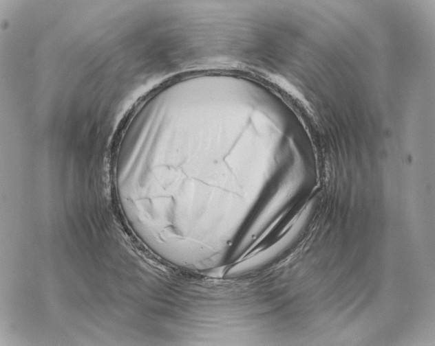 X0000070211364200606161631