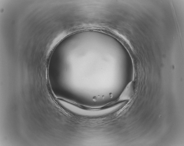 X0000070211365200606161631